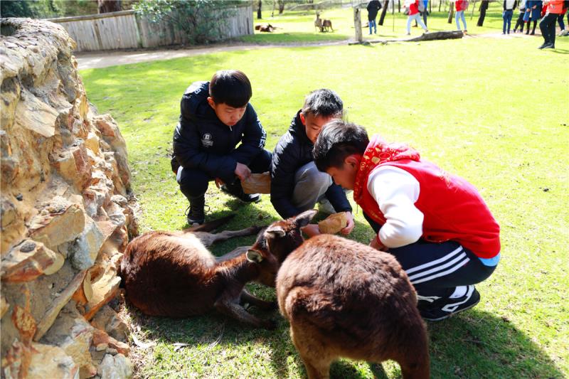 【震撼·幸福·自豪】 ----少年演講家卓越系統澳洲游學贏第四天精彩紀實!